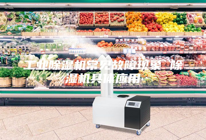 工業(yè)除濕機常見故障現象 除濕機具體應用