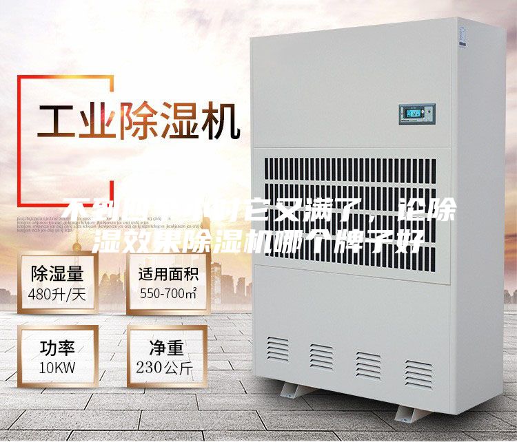 不到四個(gè)小時(shí)它又滿了,論除濕效果除濕機(jī)哪個(gè)牌子好