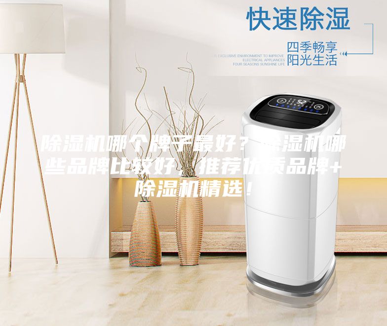 除濕機哪個牌子最好?除濕機哪些品牌比較好,推薦優質品牌+除濕機精選!