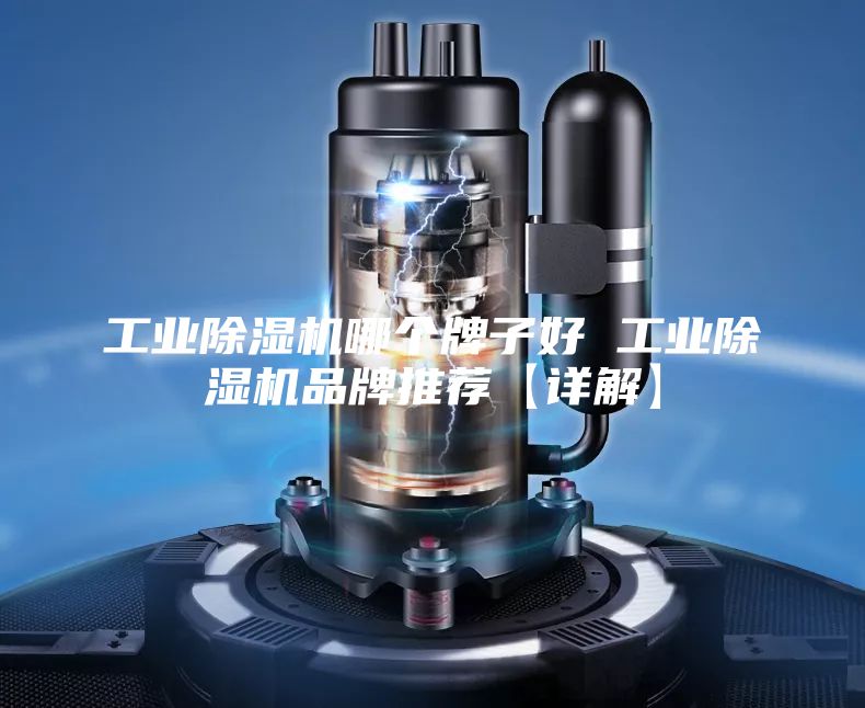 工業(yè)除濕機(jī)哪個(gè)牌子好 工業(yè)除濕機(jī)品牌推薦【詳解】