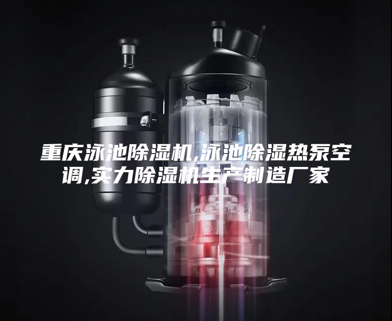 重慶泳池除濕機,泳池除濕熱泵空調(diào),實力除濕機生產(chǎn)制造廠家