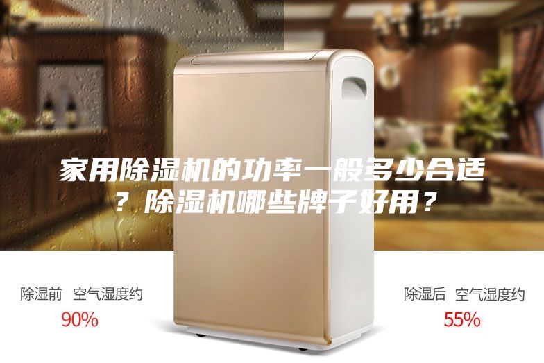 家用除濕機(jī)的功率一般多少合適?除濕機(jī)哪些牌子好用?