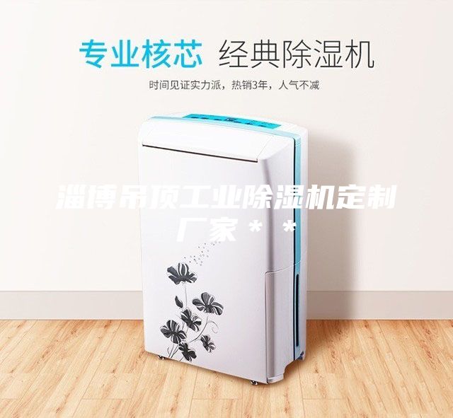 淄博吊頂工業除濕機定制 廠家**