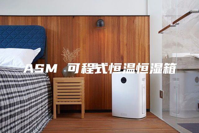 ASM 可程式恒溫恒濕箱