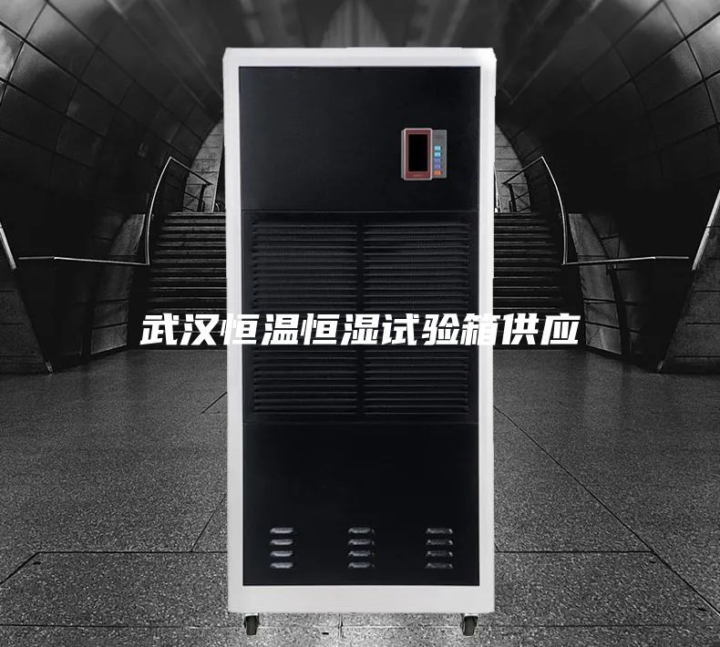 武漢恒溫恒濕試驗箱供應