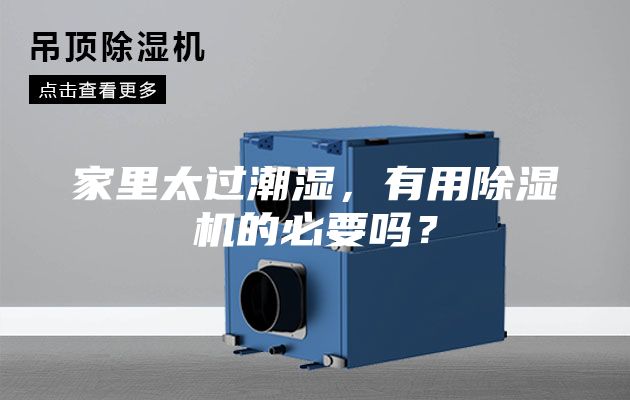 家里太過潮濕，有用除濕機的必要嗎？