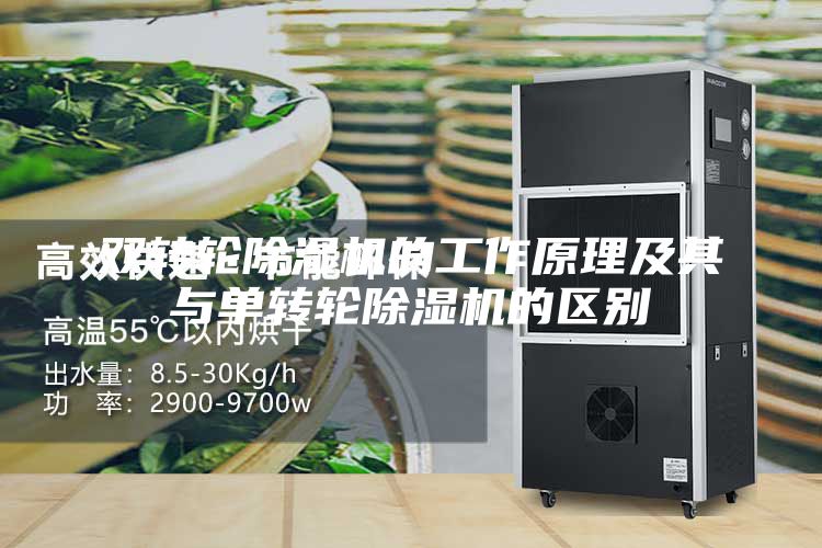 雙轉輪除濕機的工作原理及其與單轉輪除濕機的區別