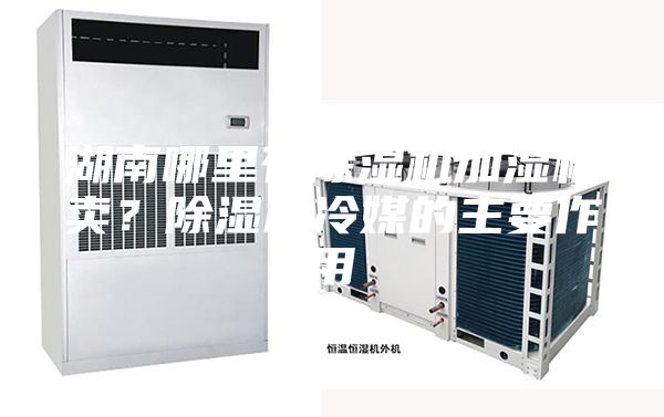 湖南哪里有除濕機加濕機賣？除濕機冷媒的主要作用