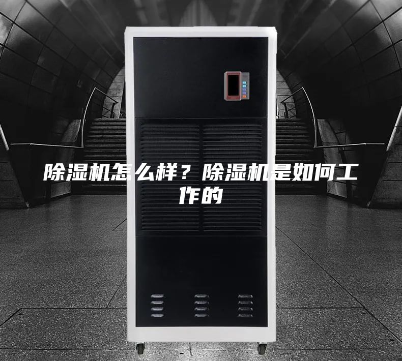 除濕機怎么樣？除濕機是如何工作的