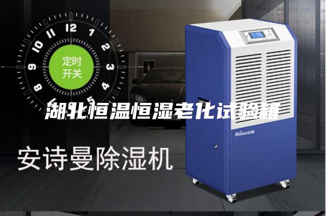 湖北恒溫恒濕老化試驗箱