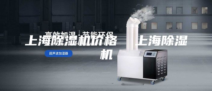 上海除濕機價格 上海除濕機