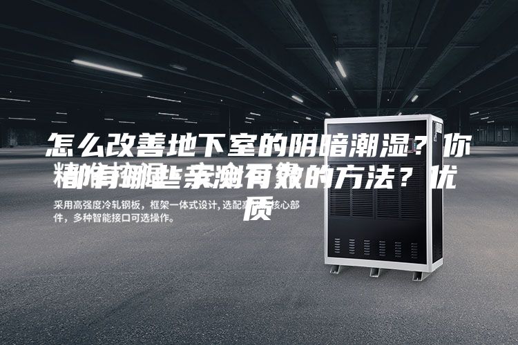 怎么改善地下室的陰暗潮濕？你都有哪些親測有效的方法？優質