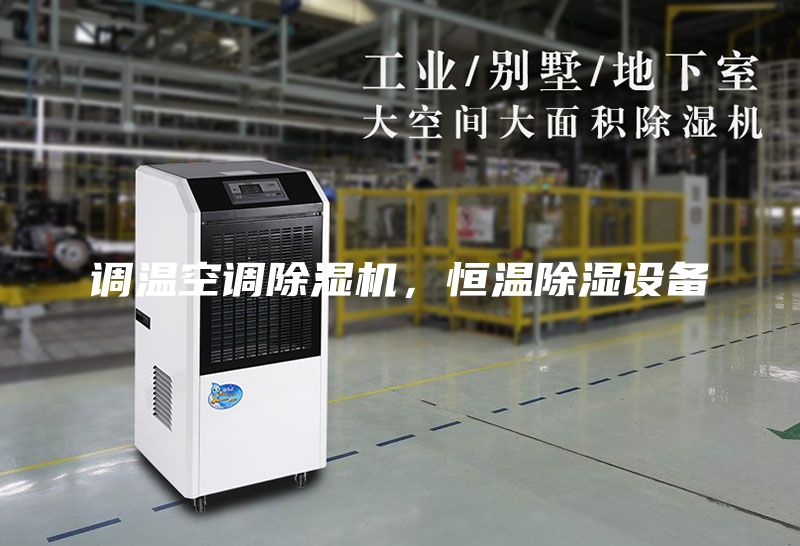 調(diào)溫空調(diào)除濕機,恒溫除濕設(shè)備