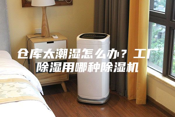 倉庫太潮濕怎么辦？工廠除濕用哪種除濕機