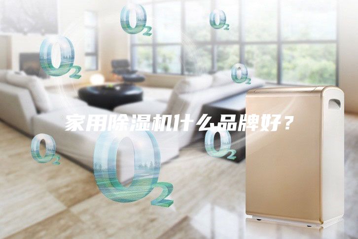 家用除濕機什么品牌好?