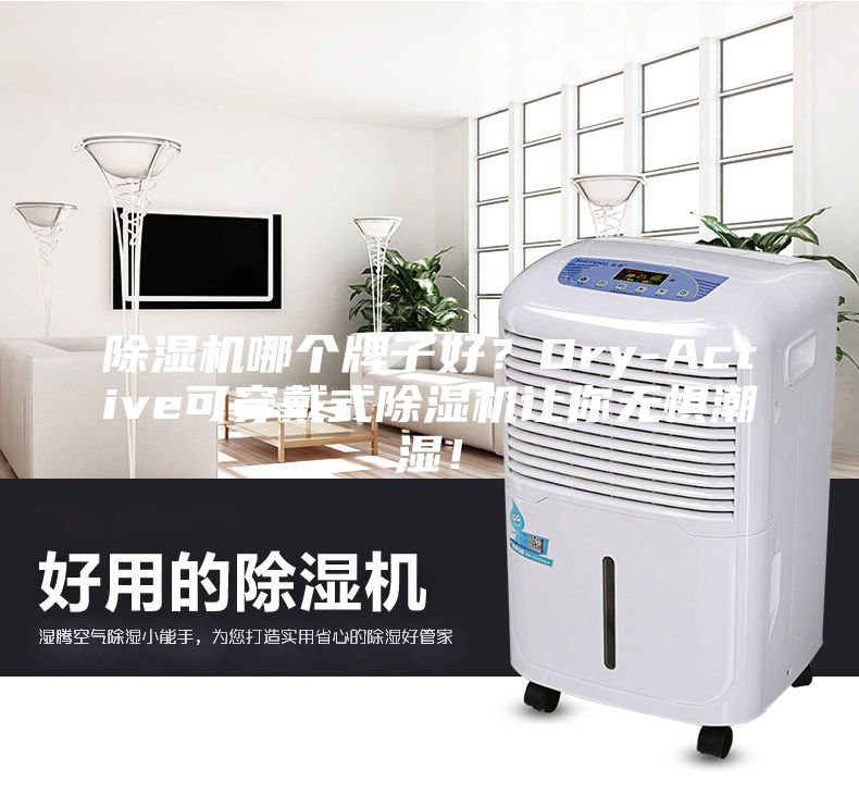 除濕機哪個牌子好？Dry-Active可穿戴式除濕機讓你無懼潮濕！