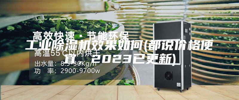 工業(yè)除濕機(jī)效果如何(都說價(jià)格便宜,2023已更新)