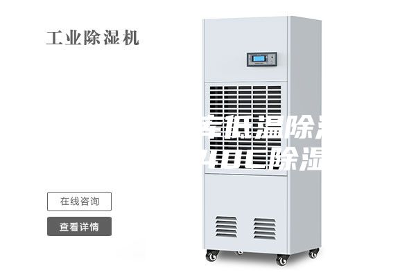 貴州安順冷庫(kù)低溫除濕機(jī)工業(yè)級(jí)9240C除濕機(jī)