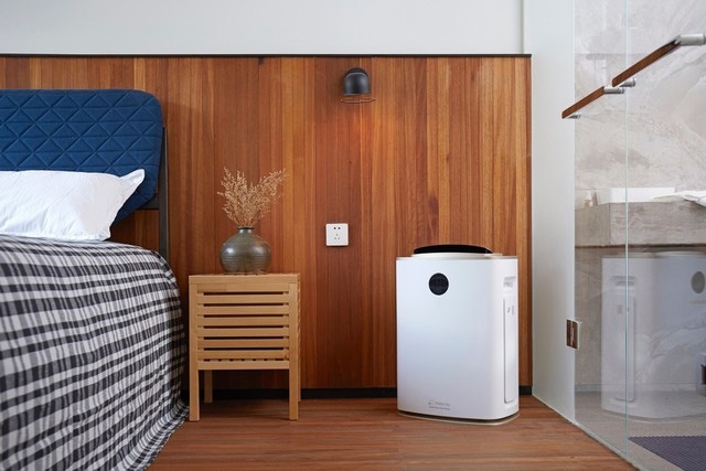 梅雨季干花怎樣保存不會發霉？