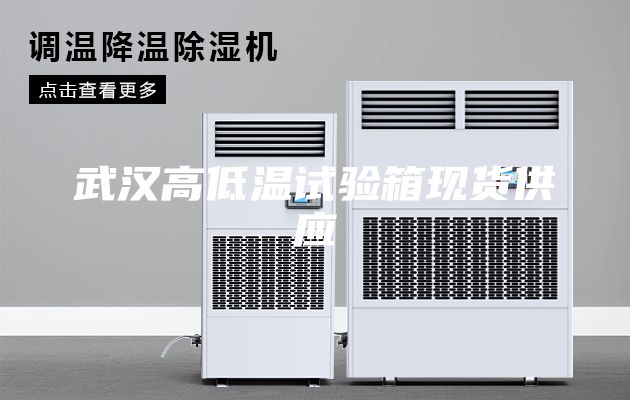 武漢高低溫試驗箱現貨供應