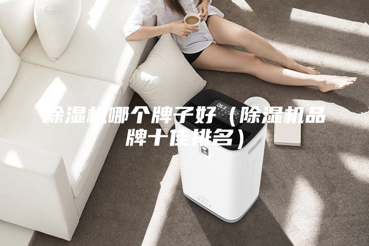除濕機(jī)哪個牌子好(除濕機(jī)品牌十佳排名)