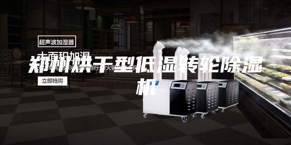 鄭州烘干型低濕轉(zhuǎn)輪除濕機
