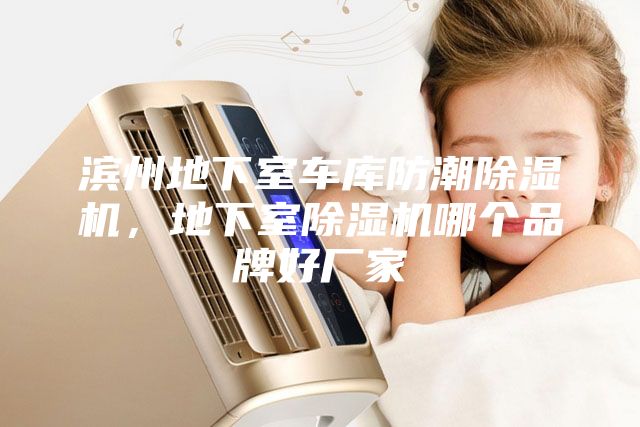 濱州地下室車庫防潮除濕機，地下室除濕機哪個品牌好廠家