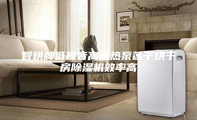 智烘牌低噪音高溫熱泵蓮子烘干房除濕機效率高