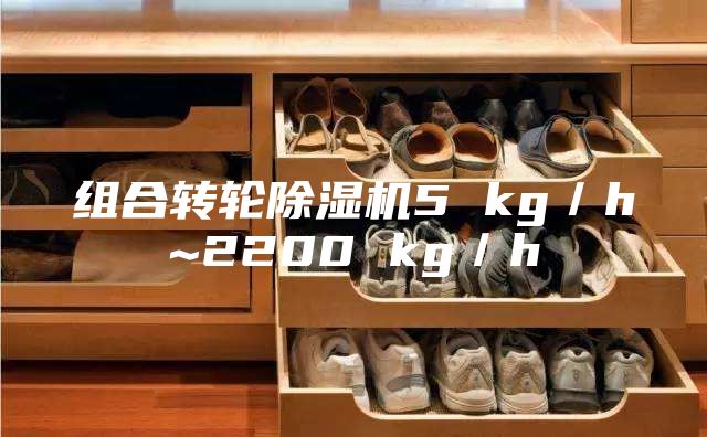 組合轉輪除濕機5 kg／h~2200 kg／h