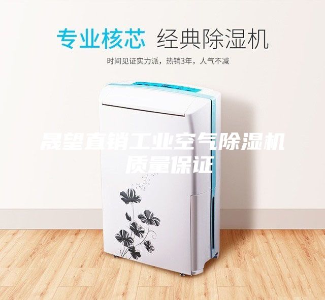 晟望直銷工業(yè)空氣除濕機(jī) 質(zhì)量保證