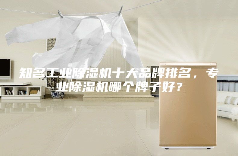 知名工業除濕機十大品牌排名,專業除濕機哪個牌子好?