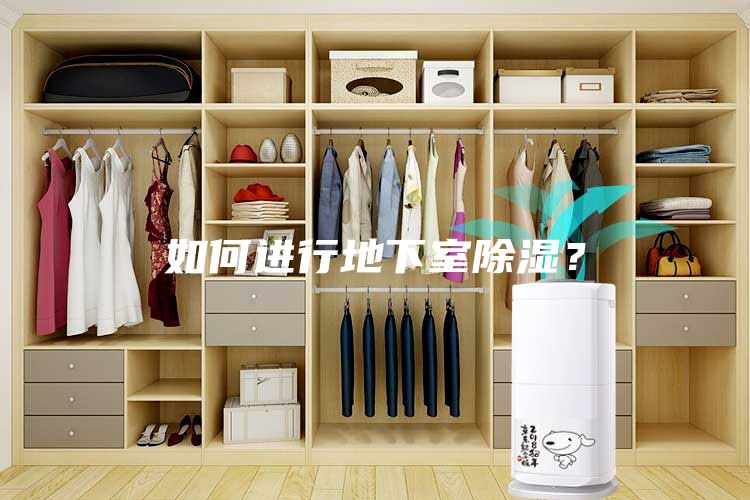 如何進行地下室除濕？