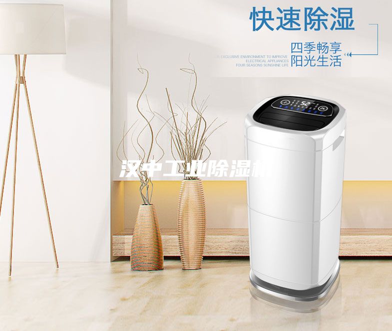 漢中工業(yè)除濕機(jī)