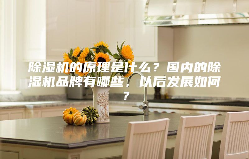 除濕機的原理是什么？國內的除濕機品牌有哪些，以后發展如何？