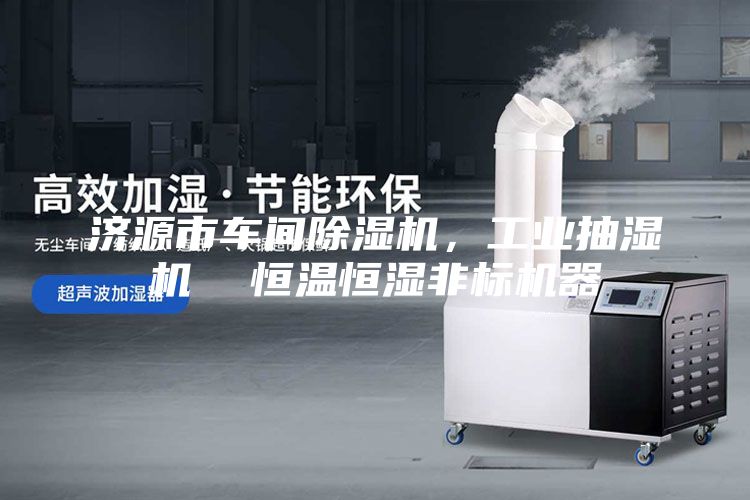 濟源市車間除濕機,工業(yè)抽濕機 恒溫恒濕非標機器