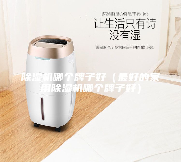 除濕機哪個牌子好(最好的家用除濕機哪個牌子好)
