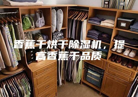 香蕉干烘干除濕機,提高香蕉干品質(zhì)