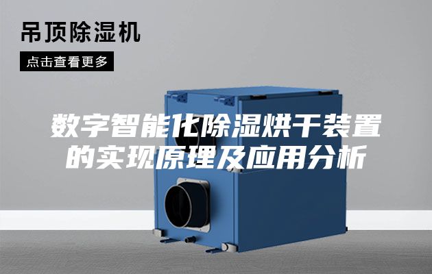 數(shù)字智能化除濕烘干裝置的實現(xiàn)原理及應(yīng)用分析