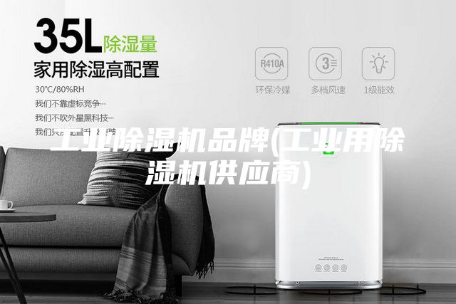 工業(yè)除濕機(jī)品牌(工業(yè)用除濕機(jī)供應(yīng)商)