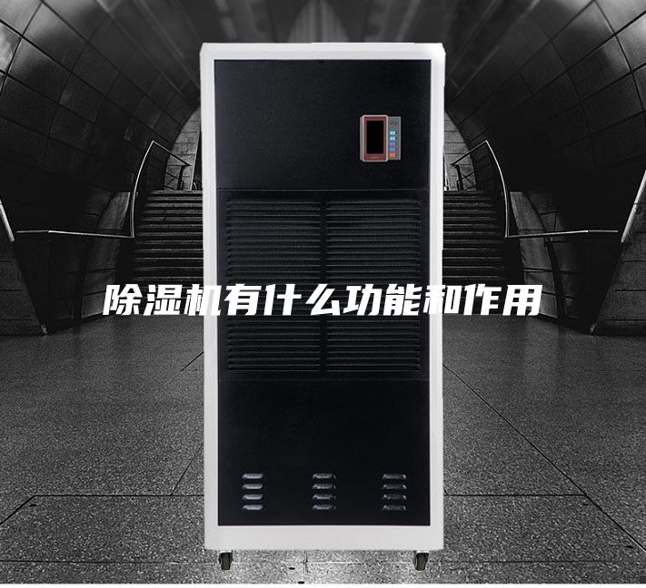 除濕機(jī)有什么功能和作用