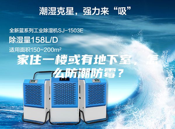 家住一樓或有地下室，怎么防潮防霉？