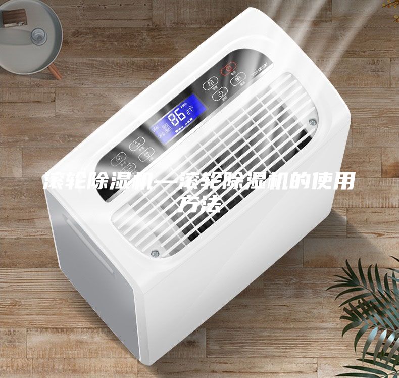 滾輪除濕機(jī)—滾輪除濕機(jī)的使用方法