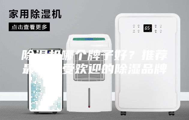 除濕機哪個牌子好？推薦最新最受歡迎的除濕品牌
