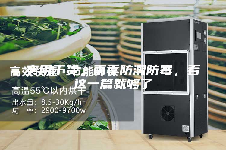 實用干貨，雨季防潮防霉，看這一篇就夠了