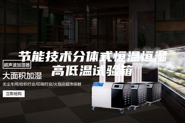 節(jié)能技術(shù)分體式恒溫恒濕高低溫試驗箱