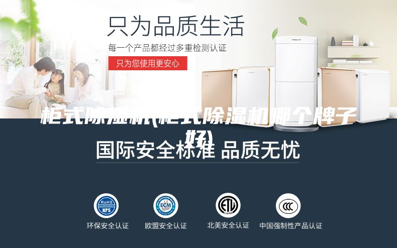 柜式除濕機(柜式除濕機哪個牌子好)