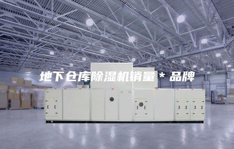 地下倉庫除濕機(jī)銷量*品牌
