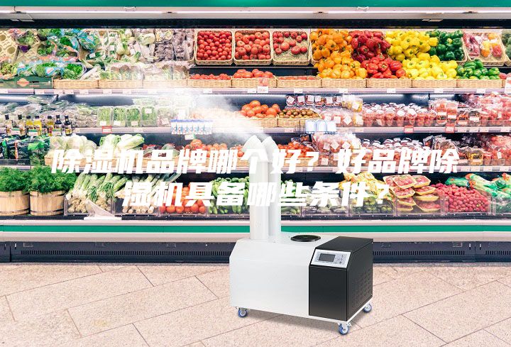 除濕機品牌哪個好？好品牌除濕機具備哪些條件？