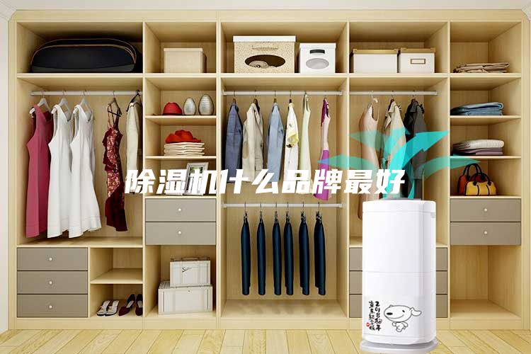 除濕機(jī)什么品牌最好
