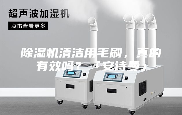 除濕機清潔用毛刷,真的有效嗎?「安詩曼」